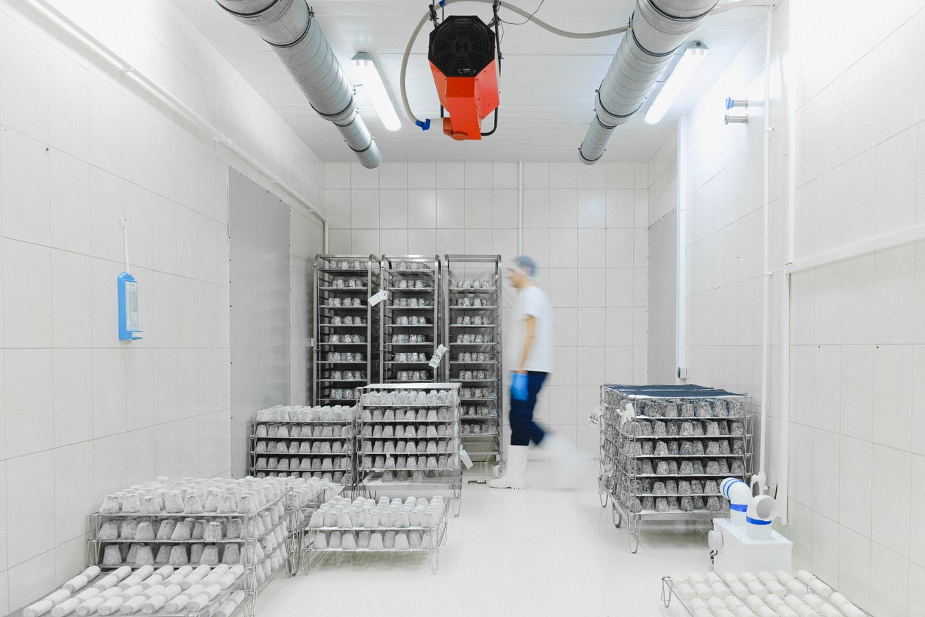Refrigerated food storage room with temperature-controlled produce