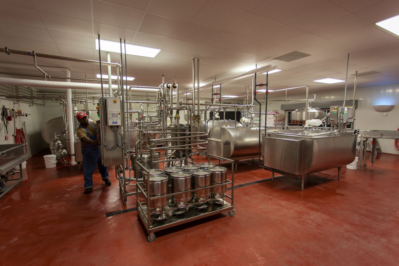 Stainless steel dairy processing and pasteurisation equipment